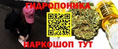 дмт Пенза