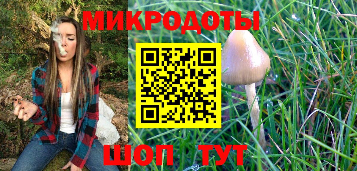 Галлюциногенные грибы GOLDEN TEACHER Северск