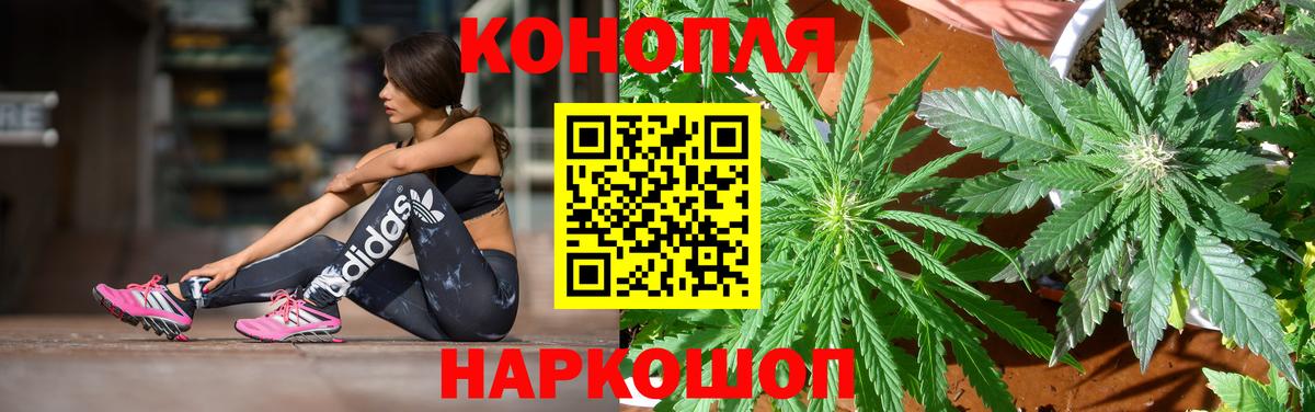 Конопля Bruce Banner Северск